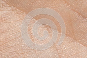 Human skin texture