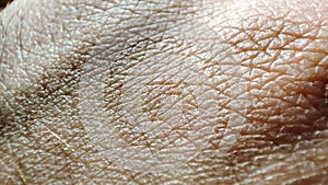 Human skin texture. Macro healthy and young hand skin