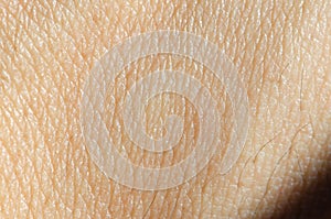 Human skin texture,macro view. photo