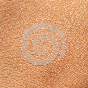 Human skin texture