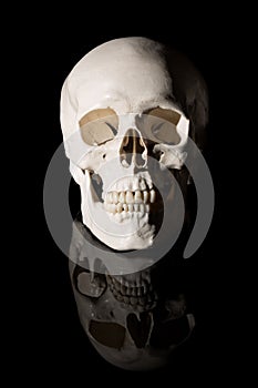Human skull on a black background