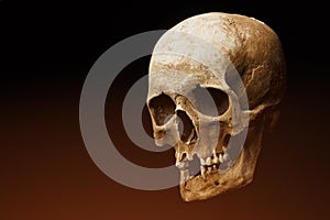 Human skull on a black background. flare effect