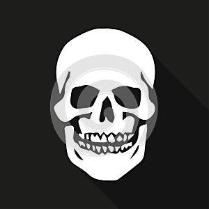 Human skull on a black background with long shadow