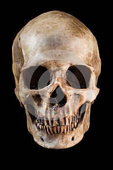 Human skull on black background