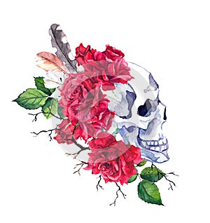 Human skull in profile view with red rose flowers, feathers in boho style. Watercolor for Day of dead, Halloween