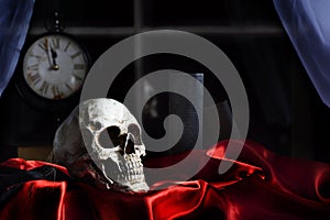 Human Skull Red Satin