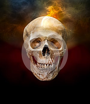 Human skull with smoke
