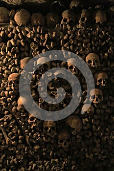 Human skulls in the catacombs of Paris