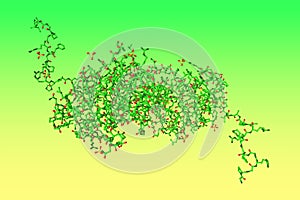 Human sonic hedgehog N-terminal domain. Molecular model. Scientific background. 3d illustration