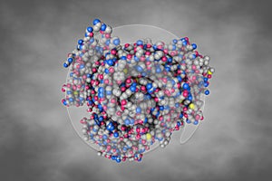 Human sorbitol dehydrogenase (apo). Space-filling molecular model on grey background. Rendering based on protein photo