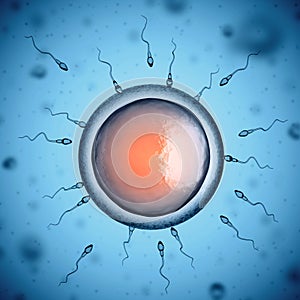 Human sperm cells around egg cell