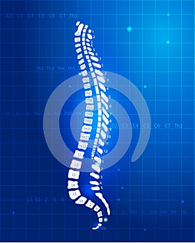 Hombre columna vertebral 