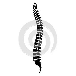 Human spine black icon