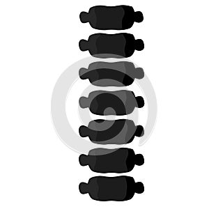 Human Spine. Black and white illustration