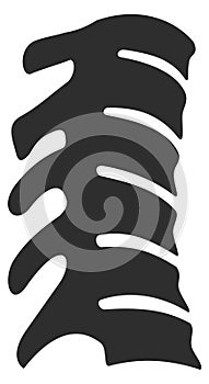 Human spine bone icon. Orthopedic black symbol