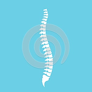 Human spine and correct posture vector icon