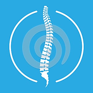 Human spine icon in the circle