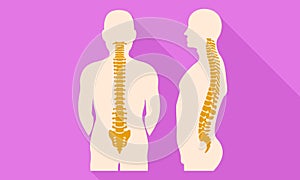 Human spine icon, flat style