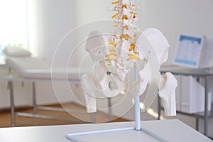 Human spine model on table in orthopedist`s office