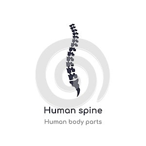 human spine outline icon. isolated line vector illustration from human body parts collection. editable thin stroke human spine