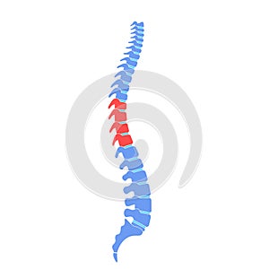 Human spine pain vector illustration photo