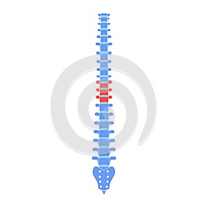 Human spine pain vector illustration photo