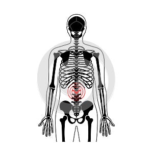 Human spine pain vector illustration photo