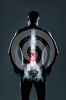 Human spine in x-ray on gray background.