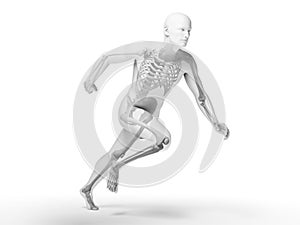 Human sprinter