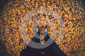 Human standing on autumn dry yellow leaves in the park