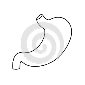 Human stomach flat style vector contour illustration. Internal organ icon, logo. Anatomy, medicine concept. Healthcare