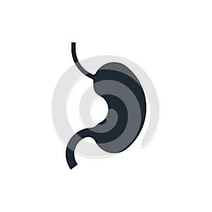 Human stomach icon