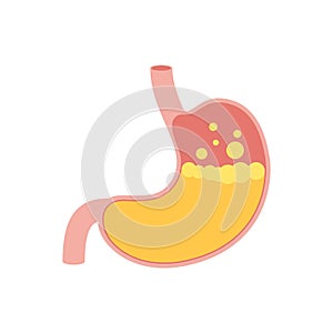 Human stomach icon photo