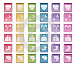 Human Systems Badges