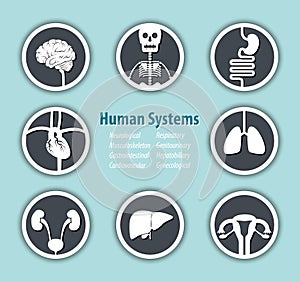 Human Systems Icon
