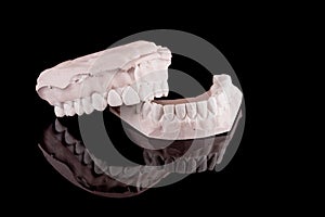 Human teeth, model photo