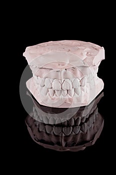 Human teeth, model photo