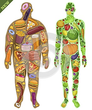 Human, thin, fat. Nutrition, food. New. Vector illustration