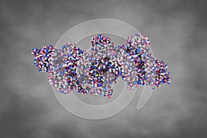 Human thioredoxin reductase 1. Space-filling molecular model on grey background. Rendering based on protein data bank photo