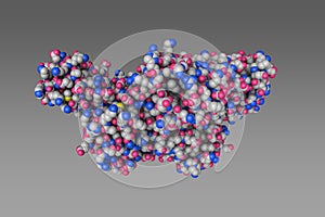 Human thioredoxin 2. Space-filling molecular model on gray background. 3d illustration photo