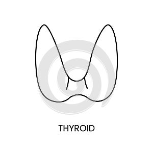Human thyroid icon line in vector, illustration of surface structures.
