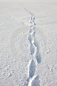 Human tracks in the snow