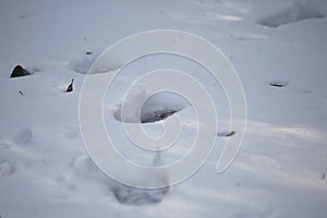 Human Tracks in the Snow