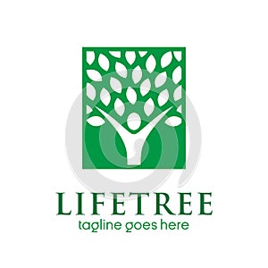 Human tree icon with leaves in square concept. go green logo. nature conservation logo. eco company logo. environmental logo