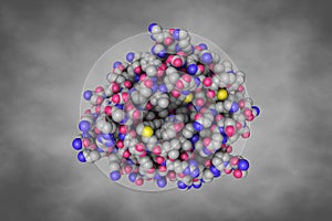 Human tryptophan hydroxylase 1 in complex with inhibitor. Space-filling molecular model. 3d illustration