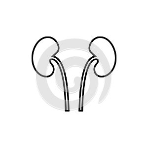 Human urinary bladder system with kidneys, ureters and urethra flat vector icon for health apps and websites eps10