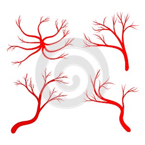 Human vein set vector symbol icon design.