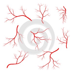 Human vein, vessel set vector symbol icon design.