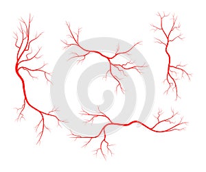 Human vein, vessel set vector symbol icon design.