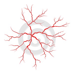 Human vein, vessel vector symbol icon design.